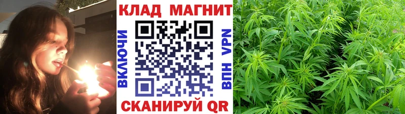 Наркота Киреевск Псилоцибиновые грибы Бошки Шишки LSD-25 Меф ГАШ СК COCAIN