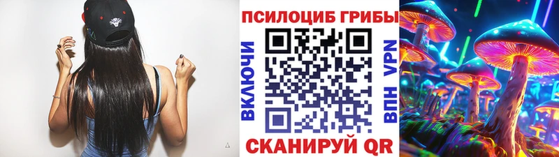 omg рабочий сайт  Киреевск  Галлюциногенные грибы GOLDEN TEACHER  где найти  